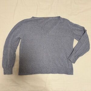 Everlane Cotton V-Neck Sweater